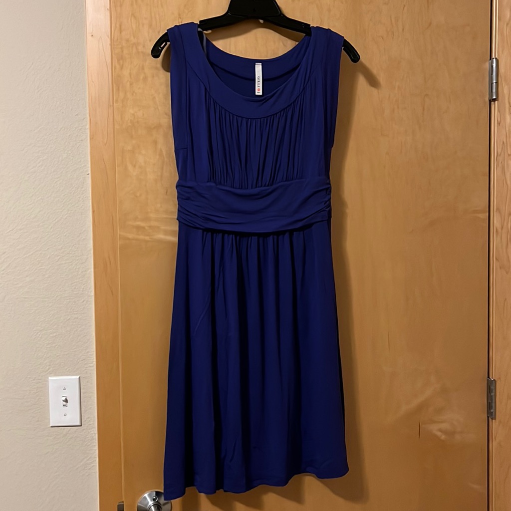 Royal Purple Sleeveless Dress - Size L